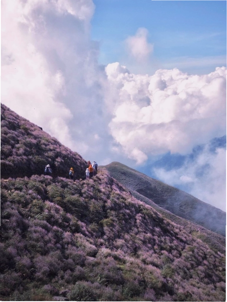 Du khách trekking trên Tà Chì Nhù