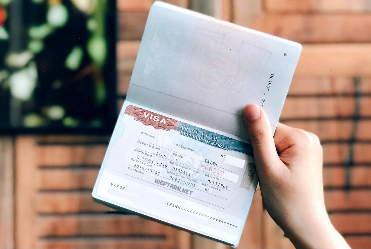 Du khách vui vẻ tại Hàn Quốc