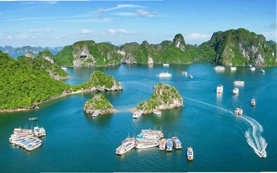 Du lịch Cát Bà tự túc 2 ngày 1 đêm: Kinh nghiệm & lịch trình chi tiết