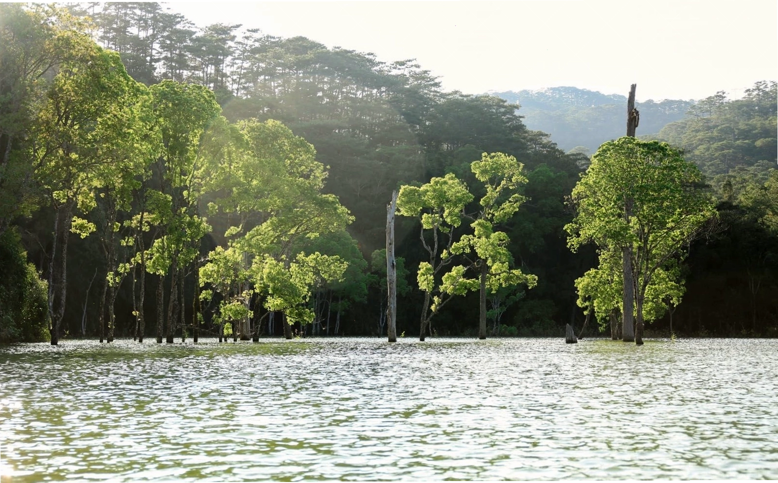 Du lịch Dran Đơn Dương