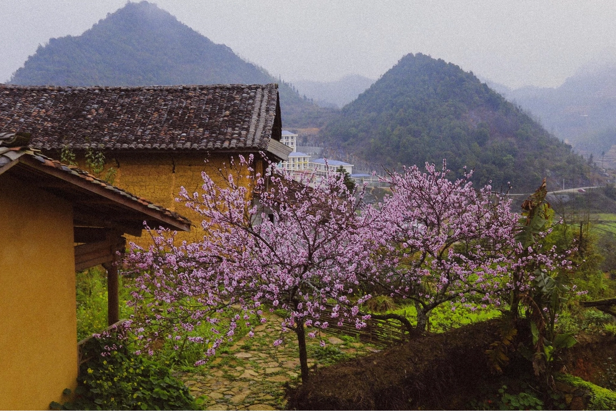 Du lịch Hà Giang khám phá vẻ đẹp làng Lô Lô Chải mùa xuân