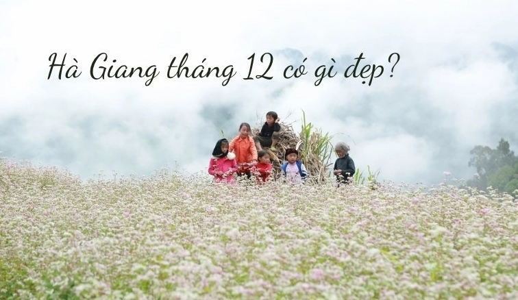 Du lịch Hà Giang tháng 12: Khám phá vẻ đẹp mùa đông và văn hóa độc đáo