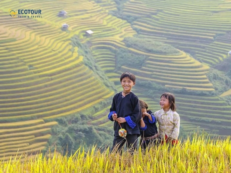 Du lịch Hà Giang tháng 9: Khám phá mùa lúa chín vàng rực rỡ