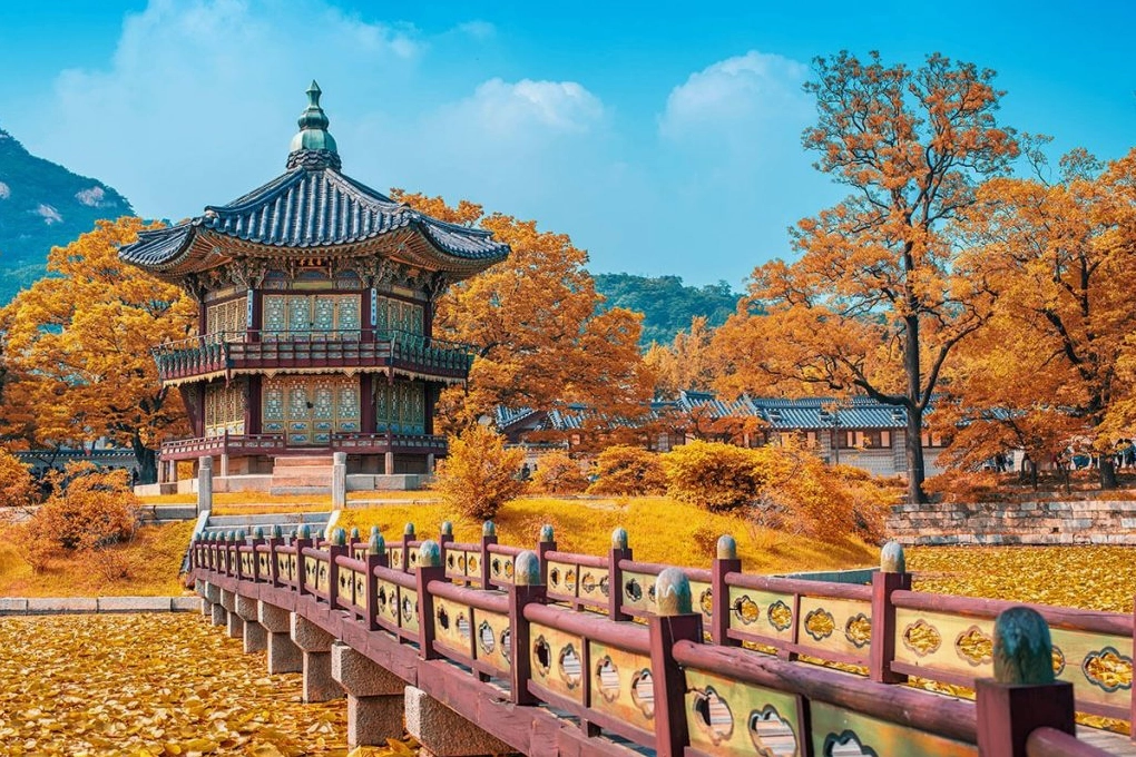 Du lịch Hàn Quốc tháng 10: Khám phá xứ sở lá vàng với thời tiết lý tưởng