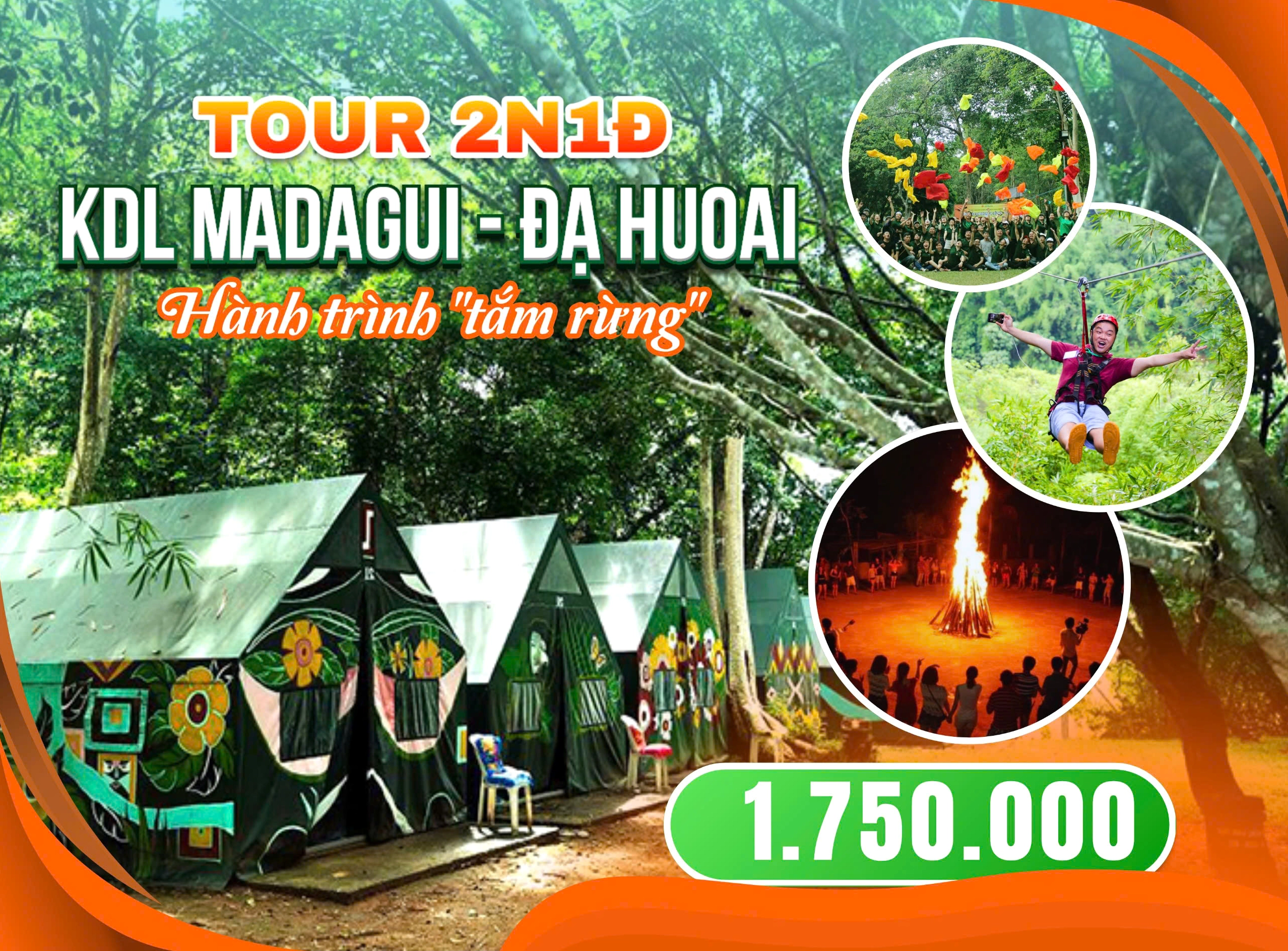 Du lịch Madagui Lâm Đồng: Khám phá rừng nguyên sinh và trải nghiệm team building độc đáo