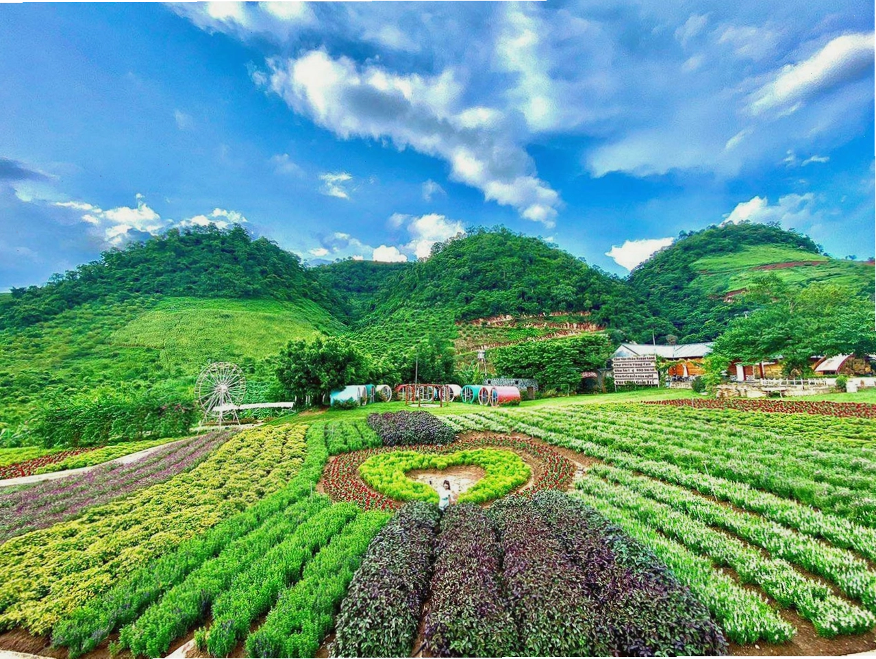 Du lịch Mộc Châu mùa nào đẹp và kinh nghiệm du lịch