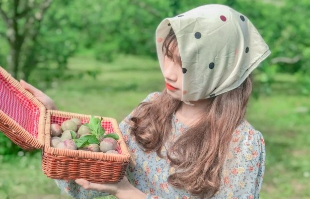 Du lịch Mộc Châu tháng 4: Khám phá cao nguyên mùa mận chín và đồi chè xanh mướt