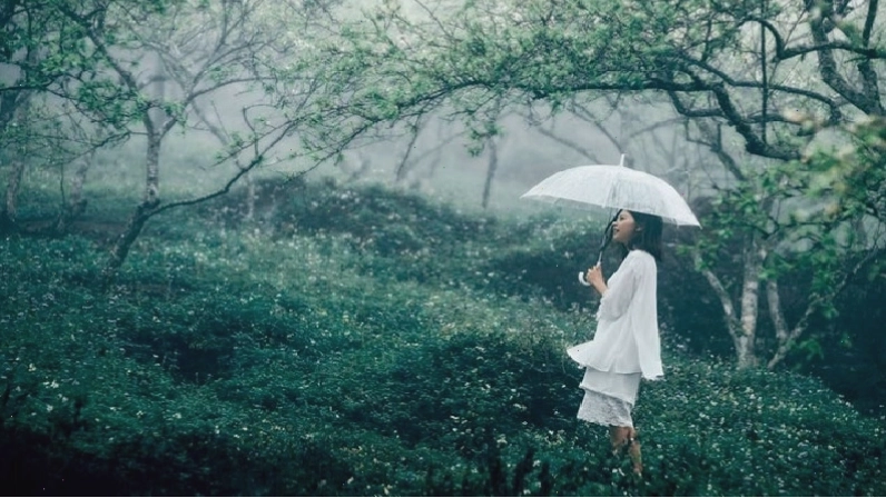 Du lịch Mộc Châu vào mùa mưa với cảnh quan xanh tươi