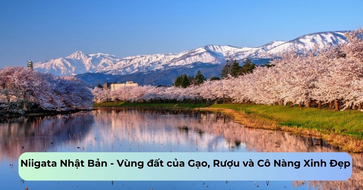 Du lịch Niigata Nhật Bản: Khám phá vẻ đẹp "vựa lúa" và văn hóa độc đáo
