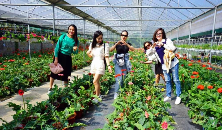 Du lịch nông nghiệp là gì và tiềm năng phát triển tại Việt Nam