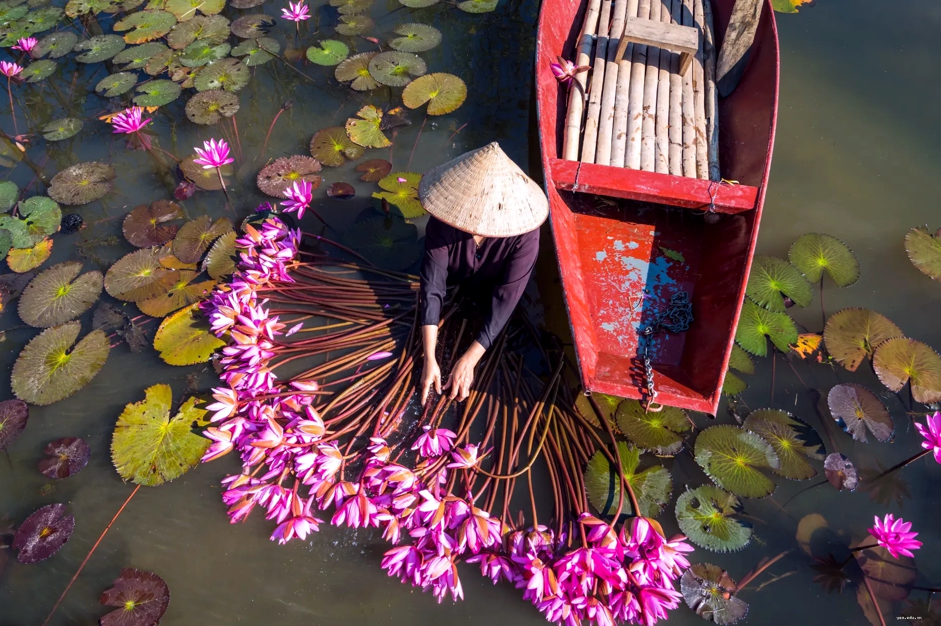 Du lịch sinh thái canh nông tại Việt Nam