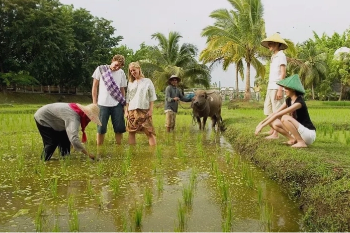 Du lịch sinh thái khám phá rừng và hệ sinh thái địa phương