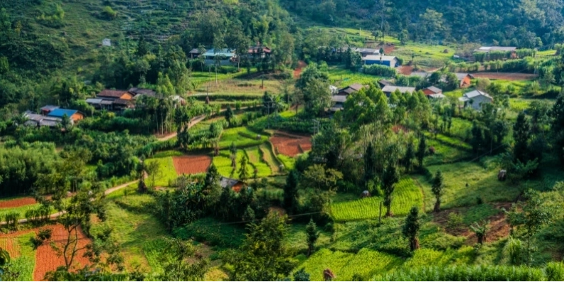 Du lịch sinh thái là gì và ý nghĩa của ecotourism