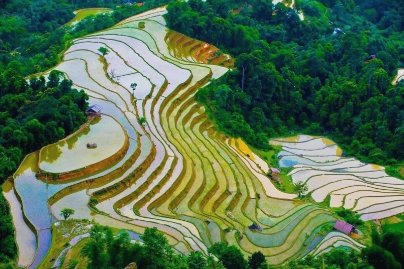 Du lịch Tây Bắc mùa nước đổ trên ruộng bậc thang như tráng gương