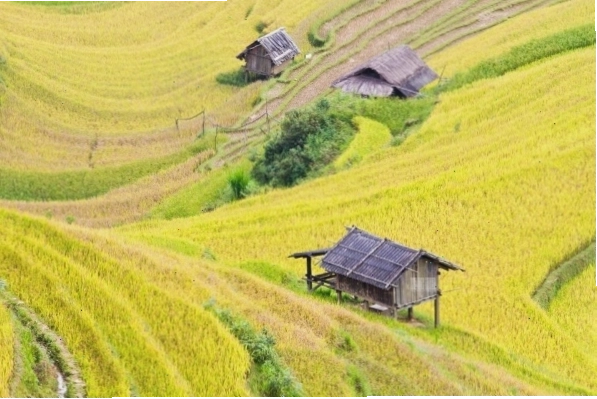 Đường bê tông thuận tiện kết nối các thôn tại Lâm Thượng, Lục Yên