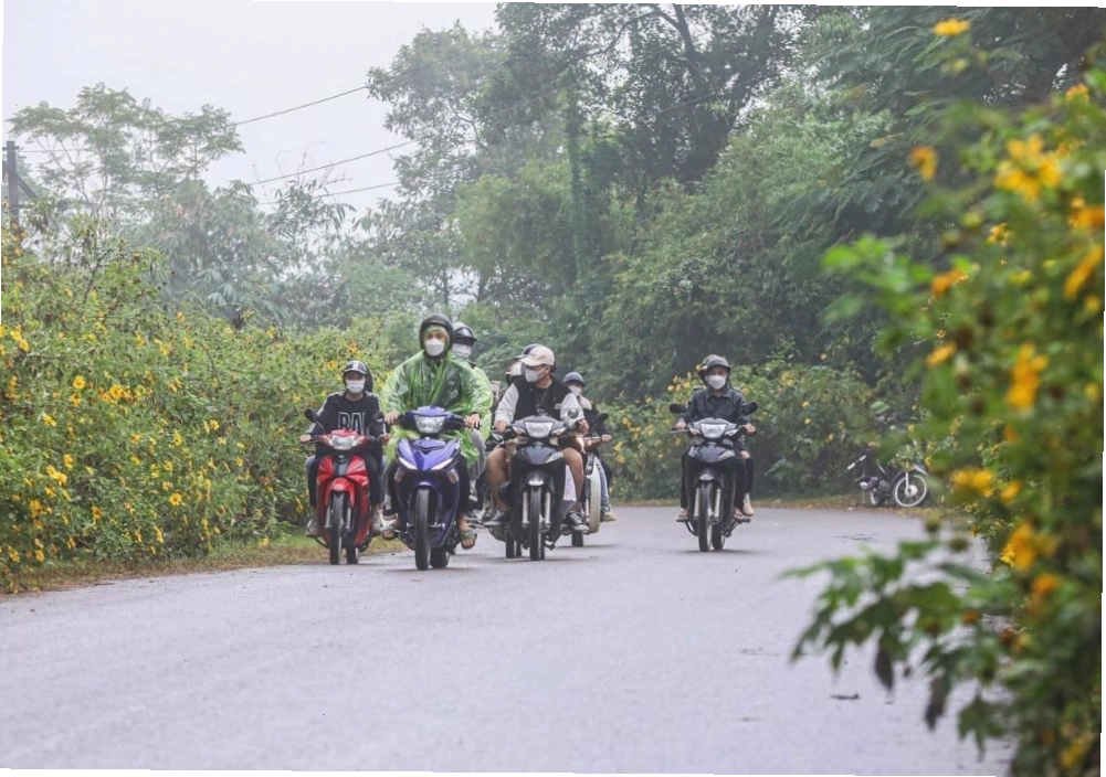 Đường lên Ba Vì resort rộng rãi và thông thoáng