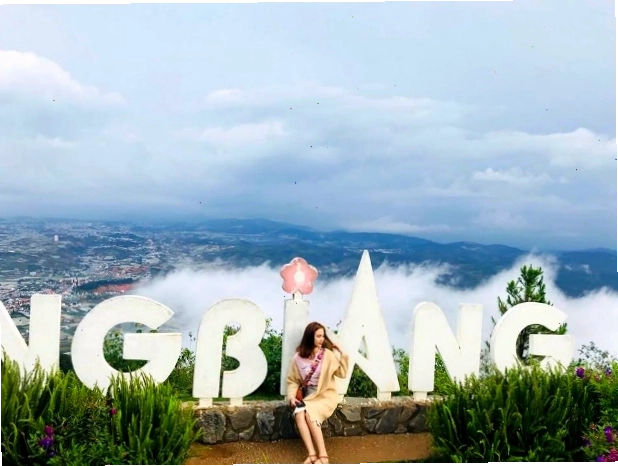 Đường lên đỉnh Langbiang với hai bên là rừng thông xanh mướt