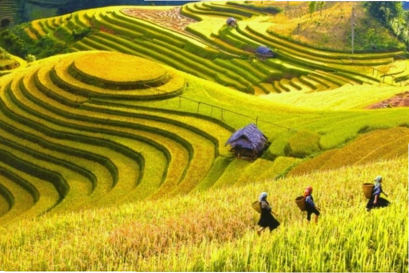Đường lên Mộc Châu tháng 10
