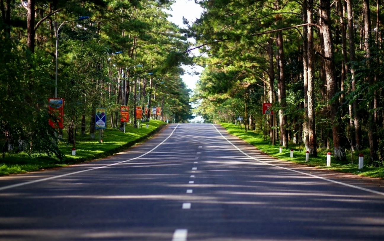 Đường vào thị trấn Măng Đen thơ mộng giữa rừng thông xanh mướt