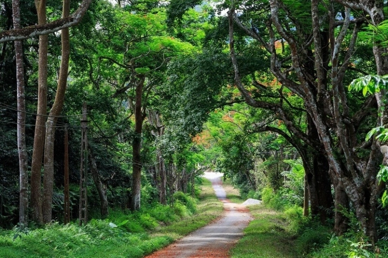 Ecotourism là gì? Khám phá định nghĩa và lợi ích của du lịch sinh thái