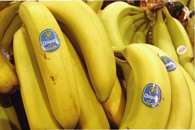 Ecuador là nước xuất khẩu chuối lớn nhất thế giới