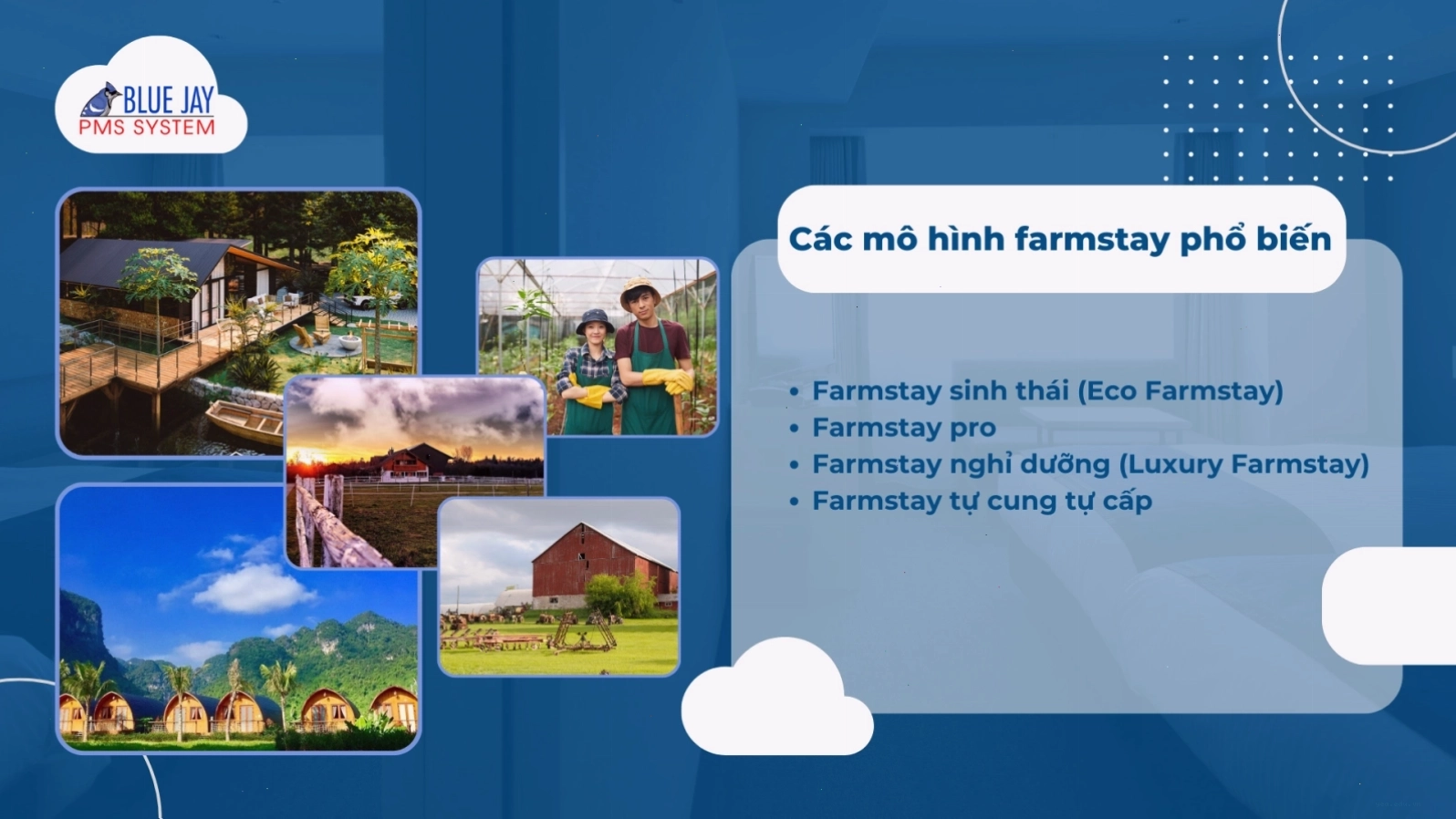 Farmstay là gì? Hiểu rõ khái niệm và tiềm năng kinh doanh
