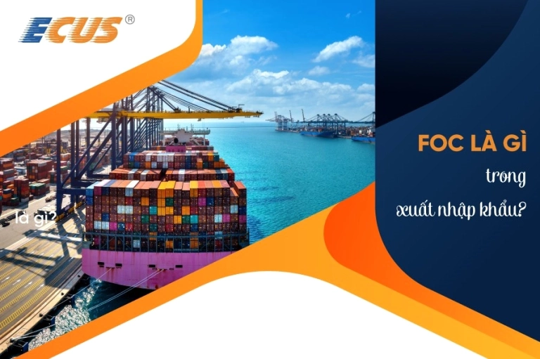 FOC là gì trong xuất nhập khẩu và các lưu ý quan trọng