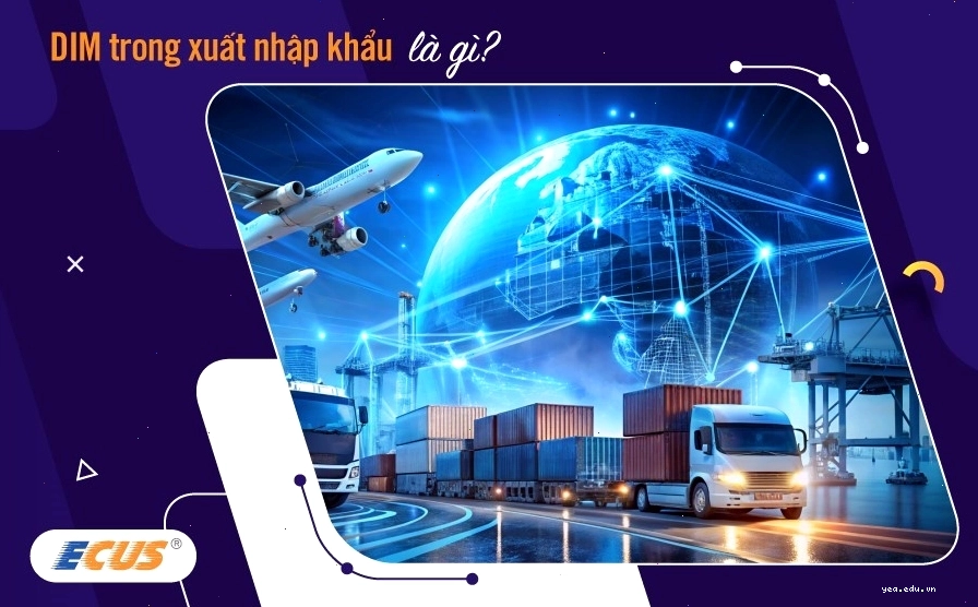 FOC nghĩa là gì và ứng dụng