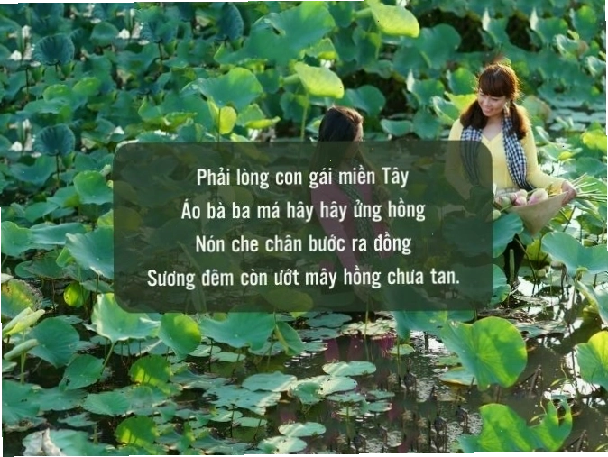 Gái miền sông nước