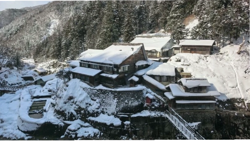 Ghé thăm Jigokudani Snow Monkey Park