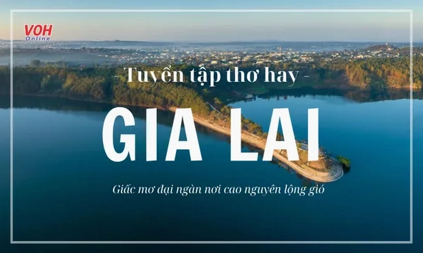 Gia Lai Đầy Nắng và Gió: Khám Phá Vẻ Đẹp Lãng Mạn và Hùng Vĩ Của Phố Núi
