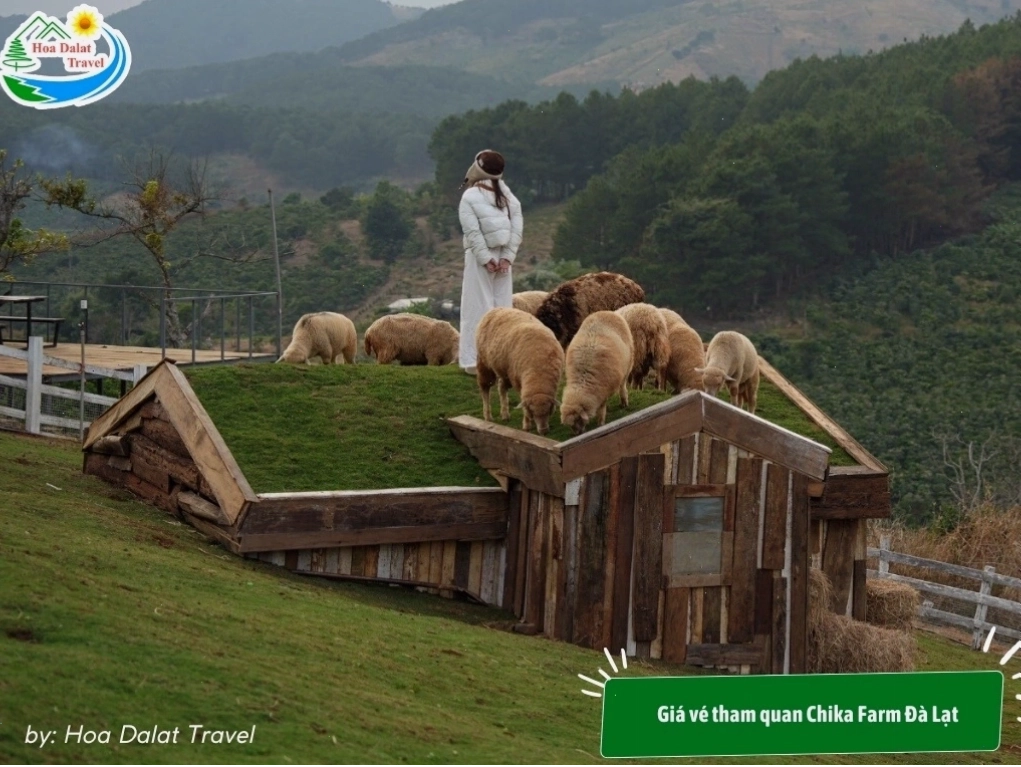 Giá vé tham quan Chika Farm Đà Lạt là 100.000 đồng 1 người