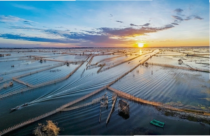 Giải mã phá Tam Giang: Ý nghĩa tên gọi và 5 trải nghiệm du lịch không thể bỏ lỡ