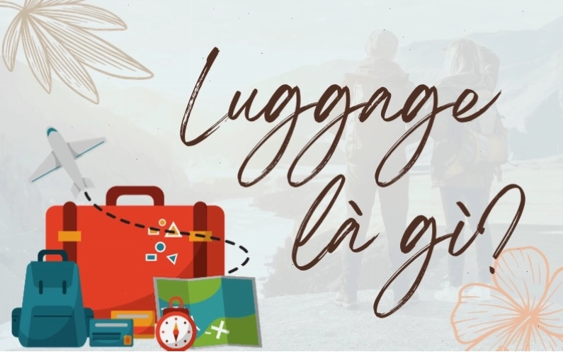 Giải thích chi tiết về định nghĩa luggage là gì và cách phân biệt