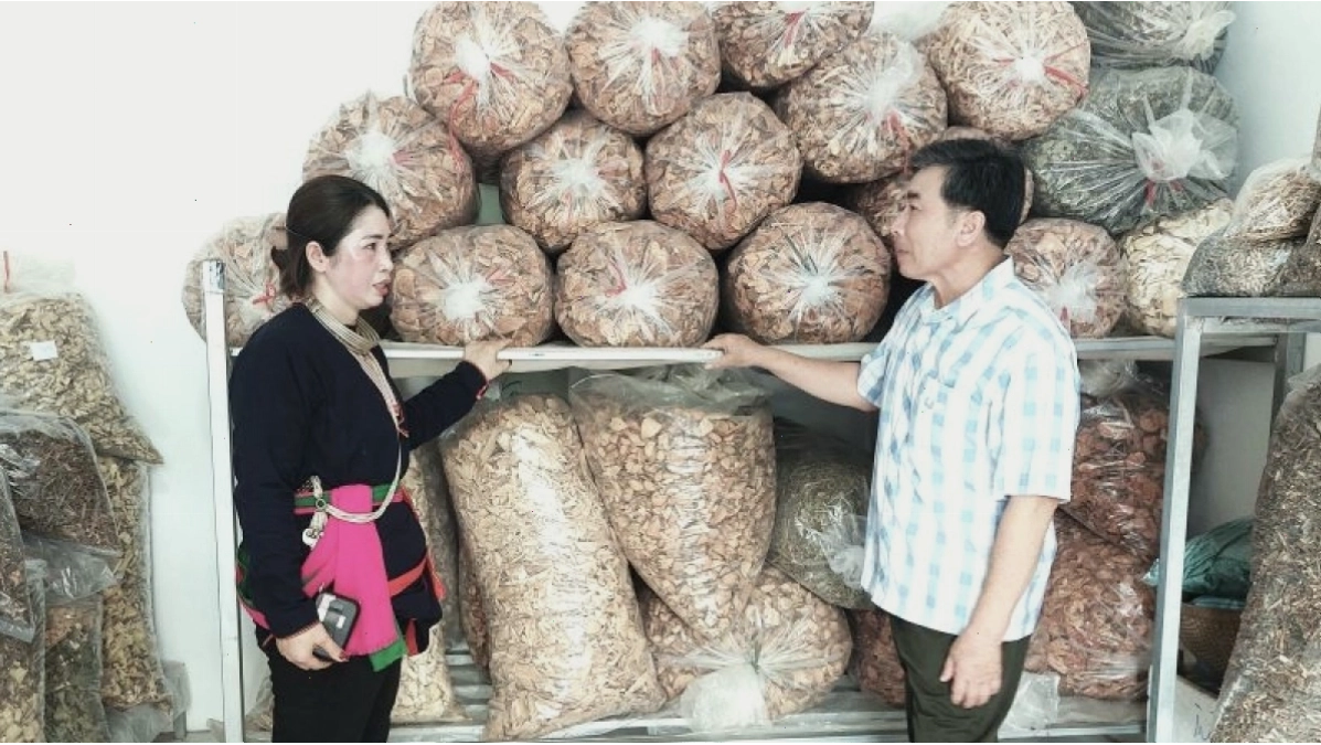 Giới thiệu nghề làm thuốc Nam của người Dao Quần chẹt tại Ba Vì