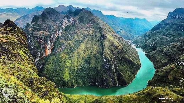 Gốc cây cô đơn với hốc nhỏ tự nhiên