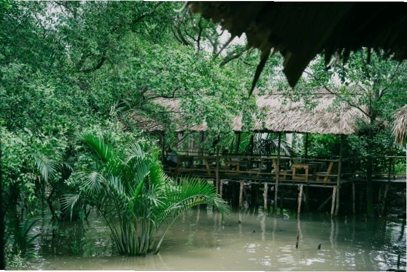 Góc chụp ảnh đẹp tại 5Ku Farm với cây cầu gỗ