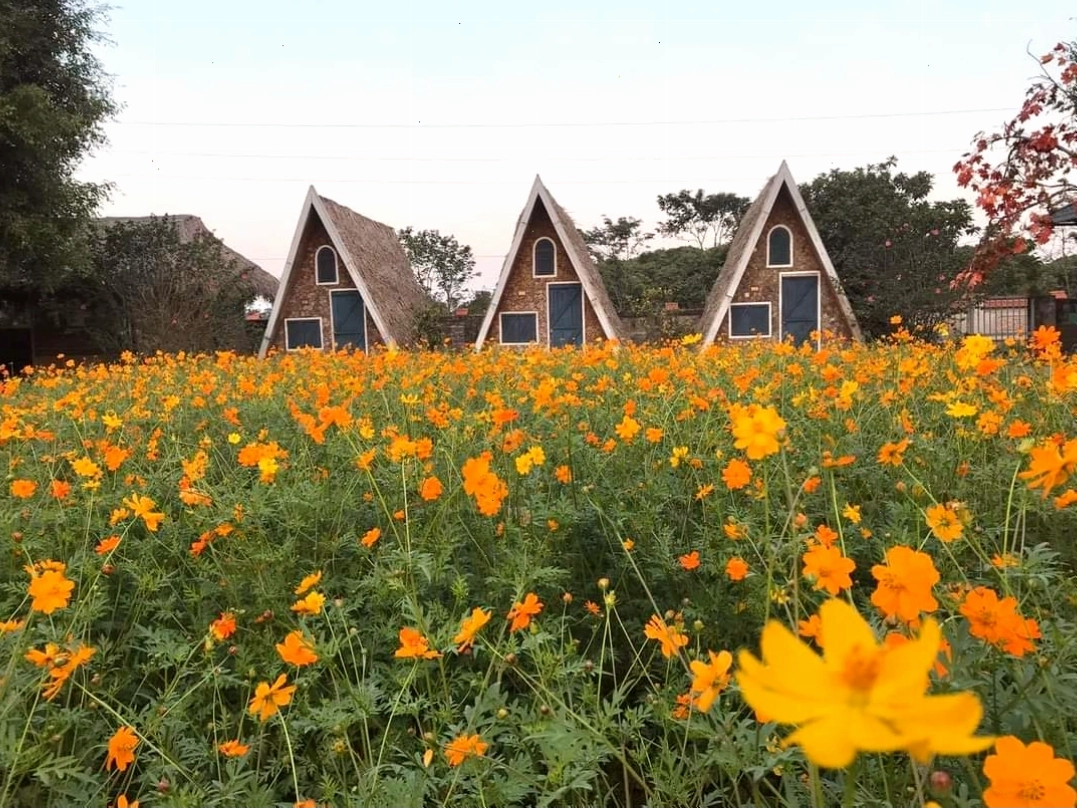 Góc chụp phong cách Hàn Quốc tại phim trường Wonderland