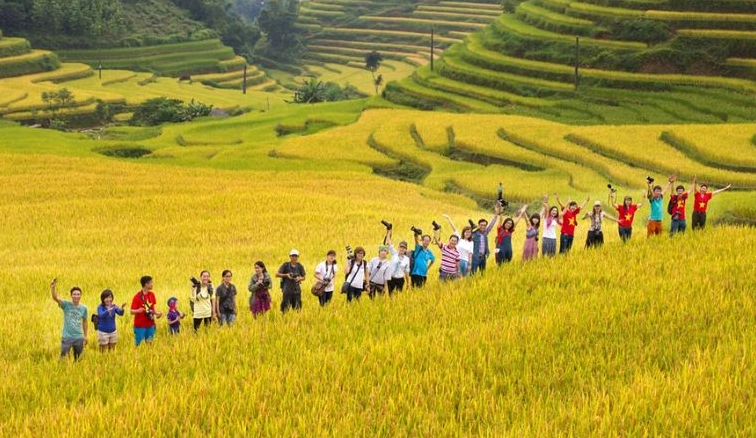 Hà Giang Mùa Lúa Chín: Khám Phá Vẻ Đẹp Vàng Óng Của Cao Nguyên Đá