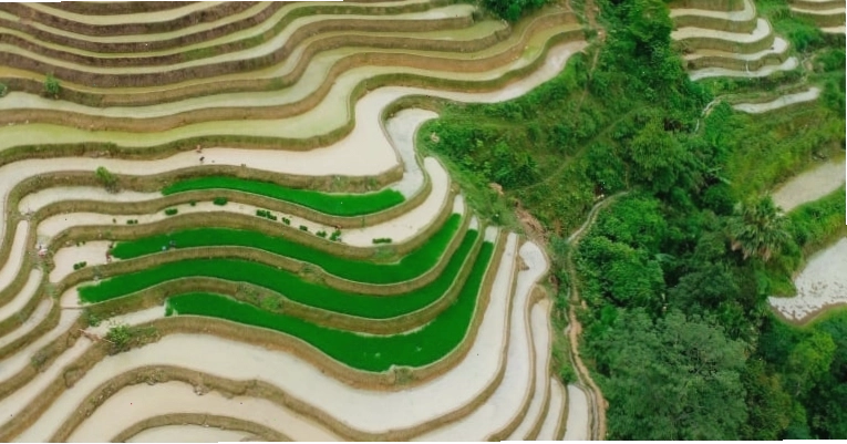 Hà Giang mùa nước đổ trên những thửa ruộng bậc thang