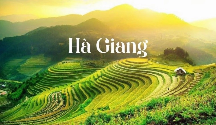 Hà Giang Nên Đi Mùa Nào Đẹp Nhất Trong Năm 2026?