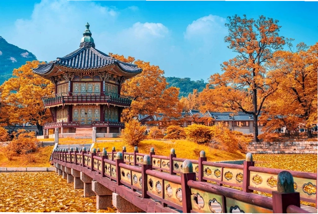 Hàn Quốc rực rỡ sắc thu tháng 10 với lá vàng và lá đỏ