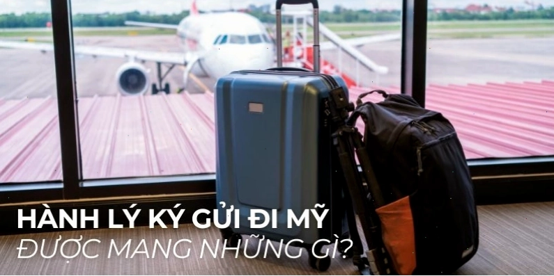 Hành lý ký gửi đi Mỹ: Những vật phẩm bị cấm