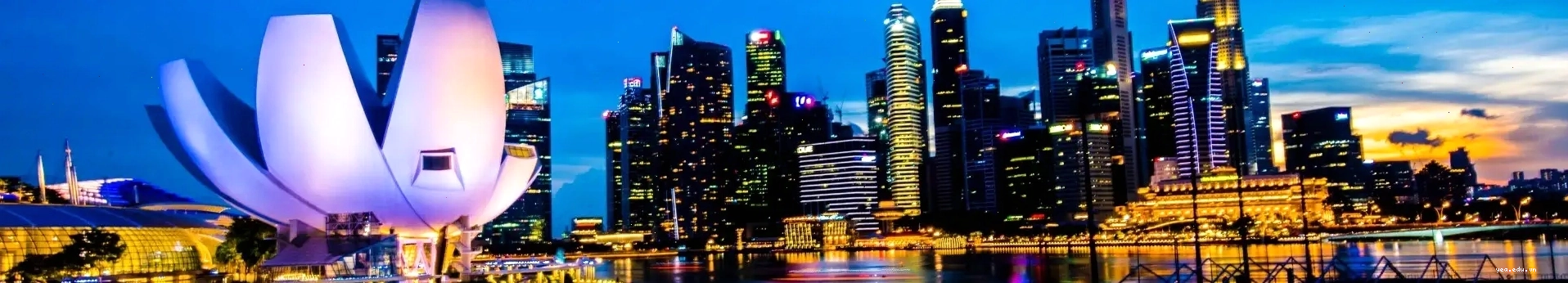 Hệ thống làn tự động nhập cảnh không hộ chiếu tại sân bay Changi Singapore