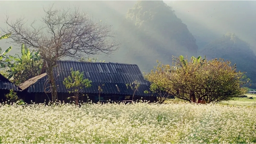 Hệ thống Ngũ Động Bản Ôn