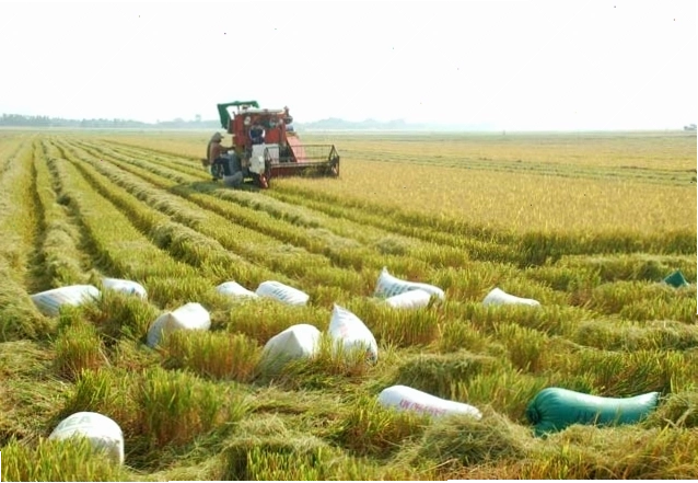 Hình ảnh cánh đồng Việt Nam trên tờ tiền 200 đồng