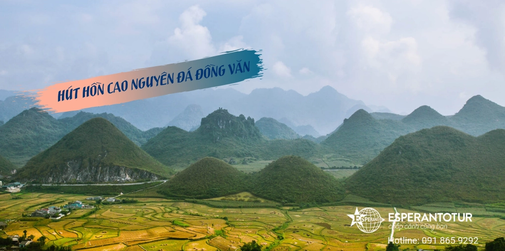 Hình ảnh Cao nguyên đá Đồng Văn: Vẻ đẹp kỳ vĩ và sức sống mãnh liệt