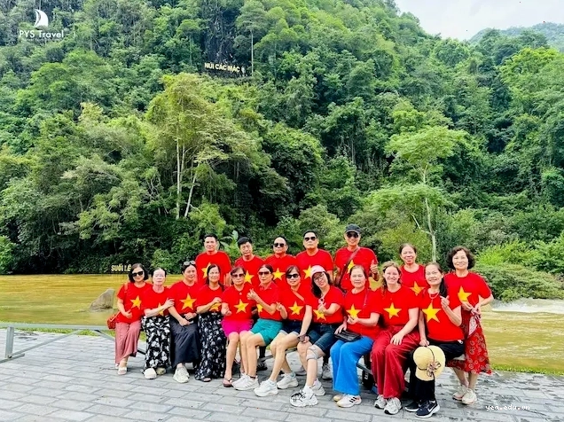 Hình ảnh cây nghiến cô đơn Hà Giang ẩn mình giữa mây trời
