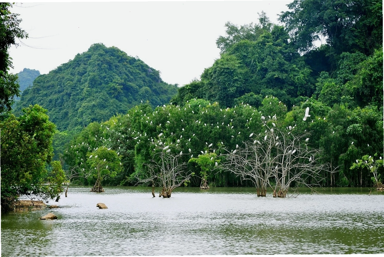 Hình ảnh hang Bụt trong khu du lịch Thung Nham với nhũ đá hình ông Bụt