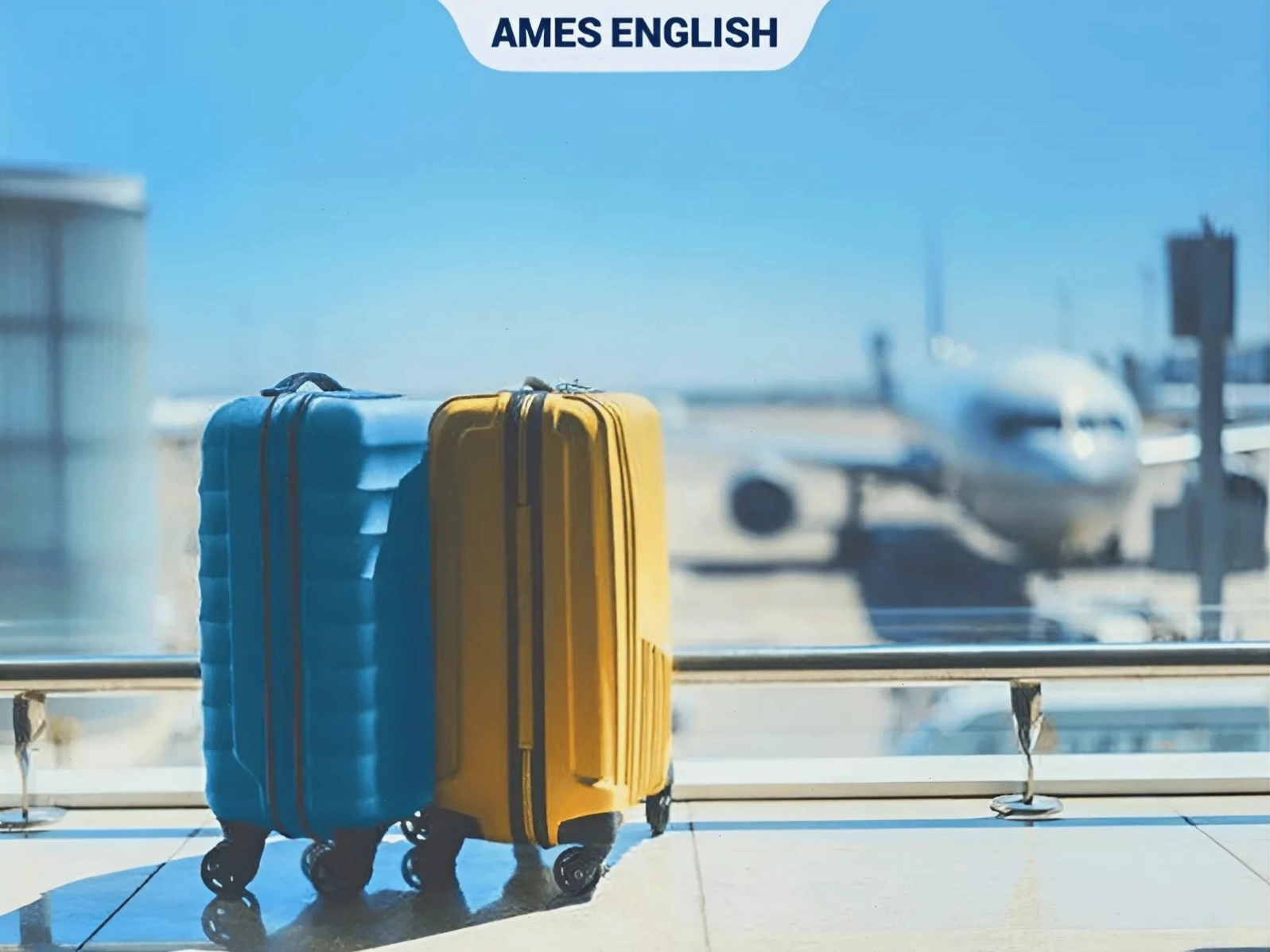 Hình ảnh minh họa từ Luggage